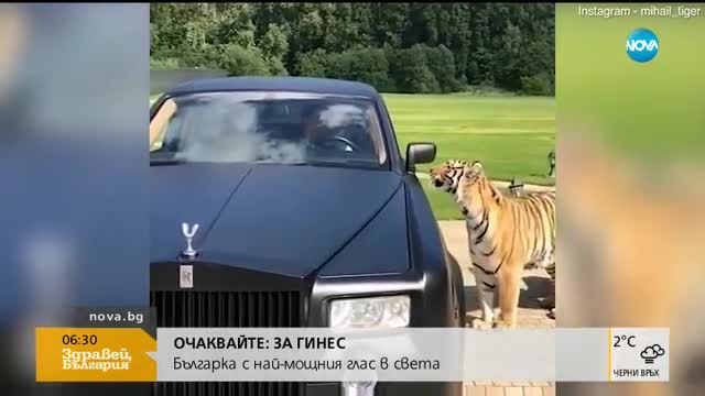 На разходка с тигри в колата