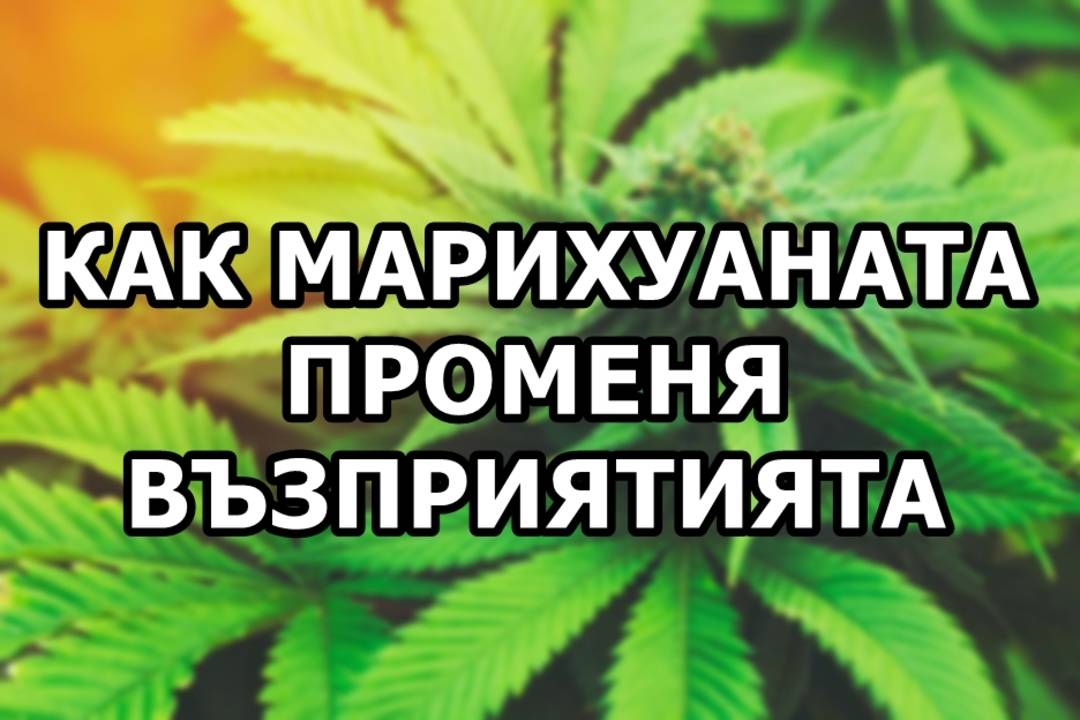 5 начина, по които марихуаната променя възприятията
