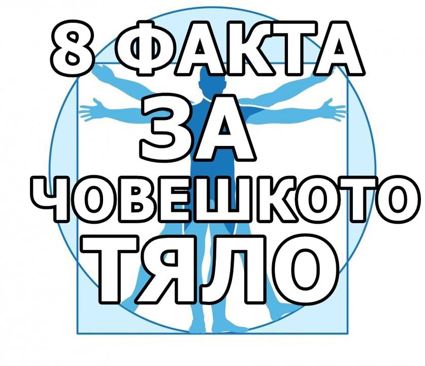 8 факта за човешкото тяло, за които дори не сте подозирали