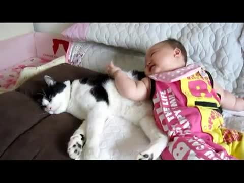 Бебе пречи на котешката дрямка!
