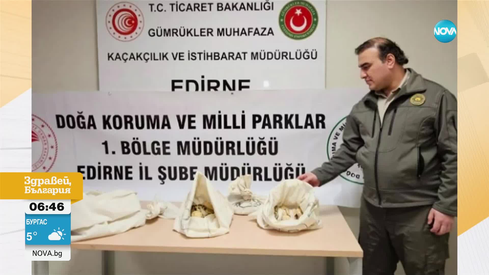 Турски митничари откриха 33 питона във влак, влязъл от България