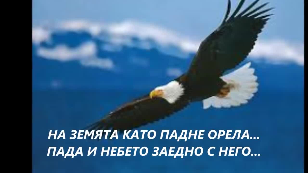 Превод Страхотна Гръцка Балада Като Видиш Орел - Темис Адамантидис -