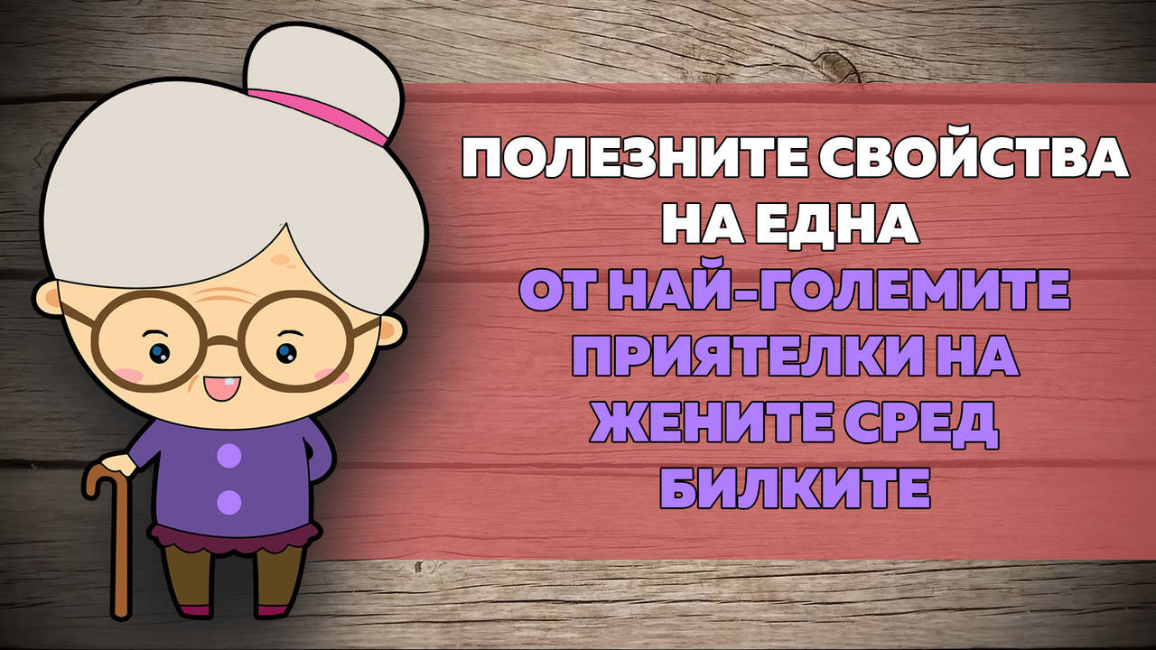 Полезните свойства на една от най-големите приятелки на жените сред билките