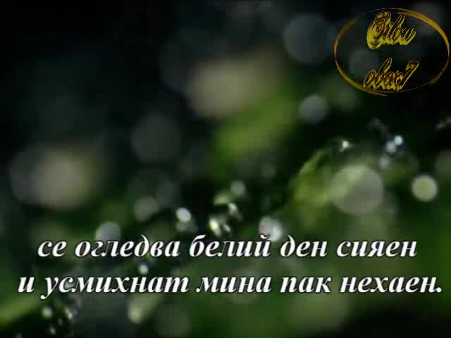 Плакала Е Горчиво Нощта