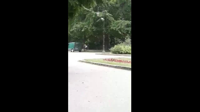 Кола в Морската градина на Варна, хората берат липа и чупят новопосадени дръвчета