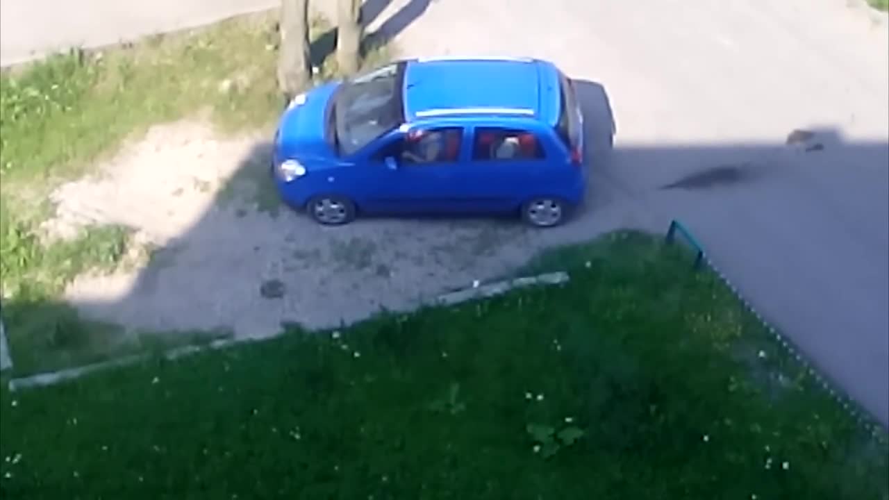 Тази бабка определено не трябва да кара кола