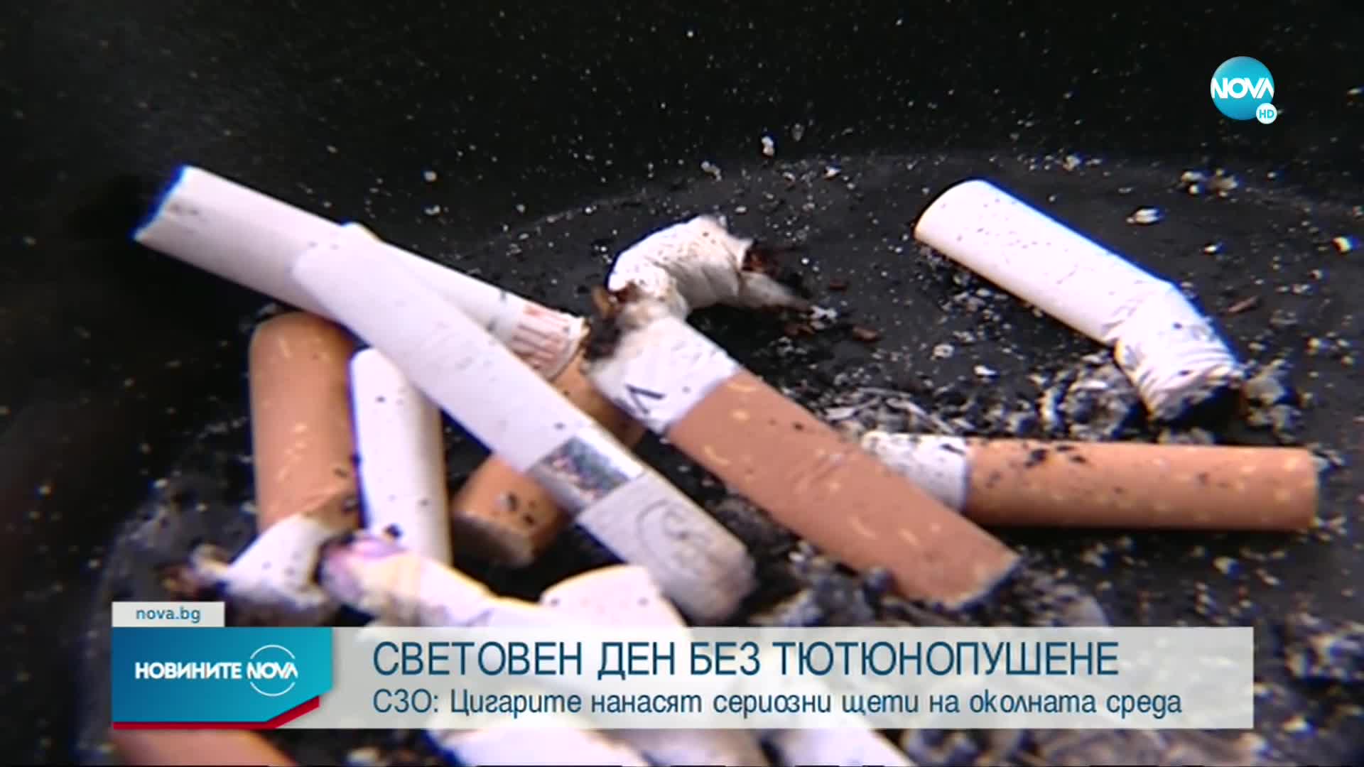 СЗО: Цигарите нанасят сериозни щети на околната среда