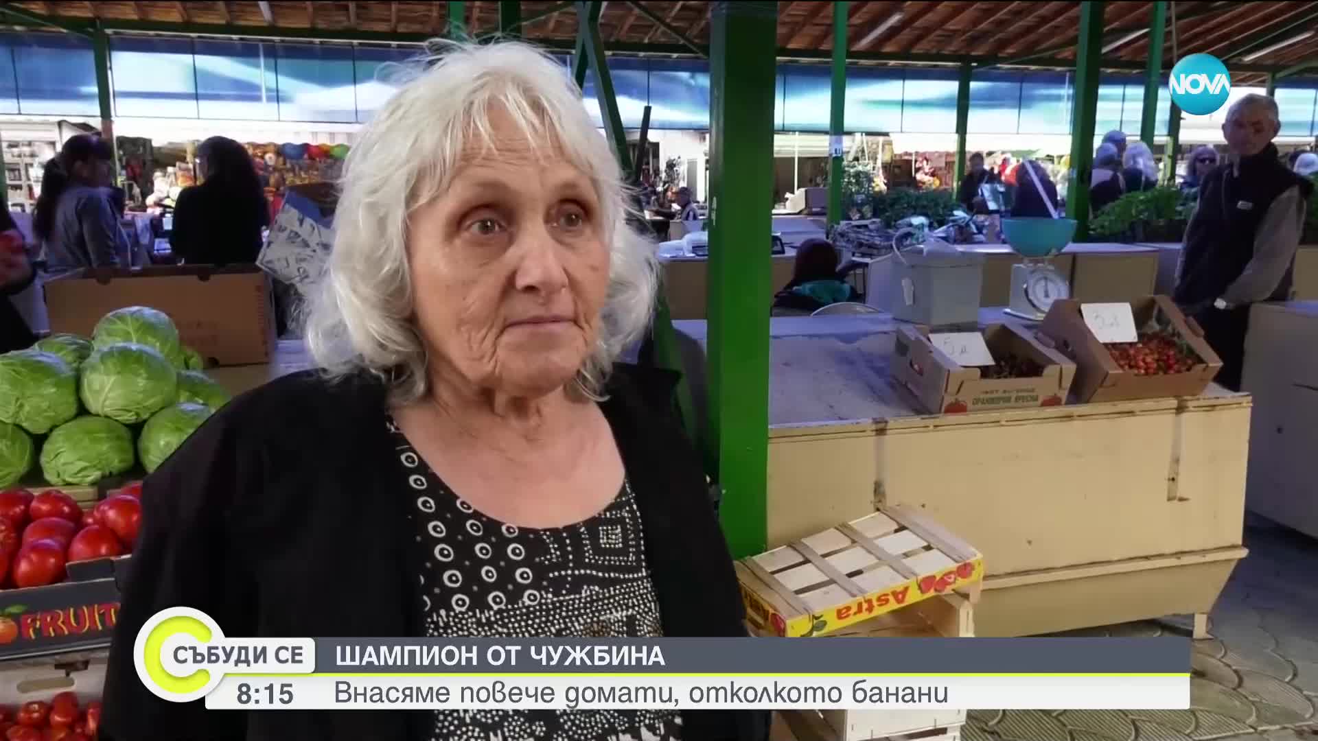 СЕЗОНЪТ НА САЛАТИТЕ: Внасяме повече домати, отколкото банани