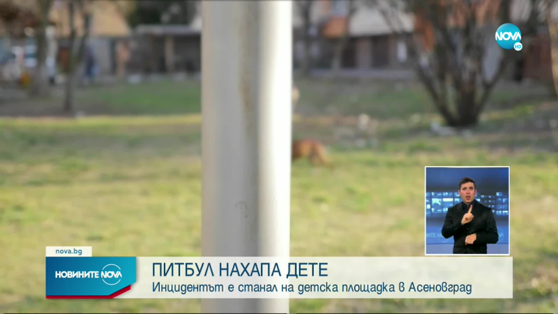 Питбул нападна 9-годишно дете в Асеновград
