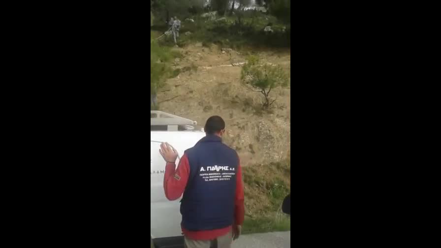 Спасиха козел, увиснал с рогата си от електрически жици (ВИДЕО)