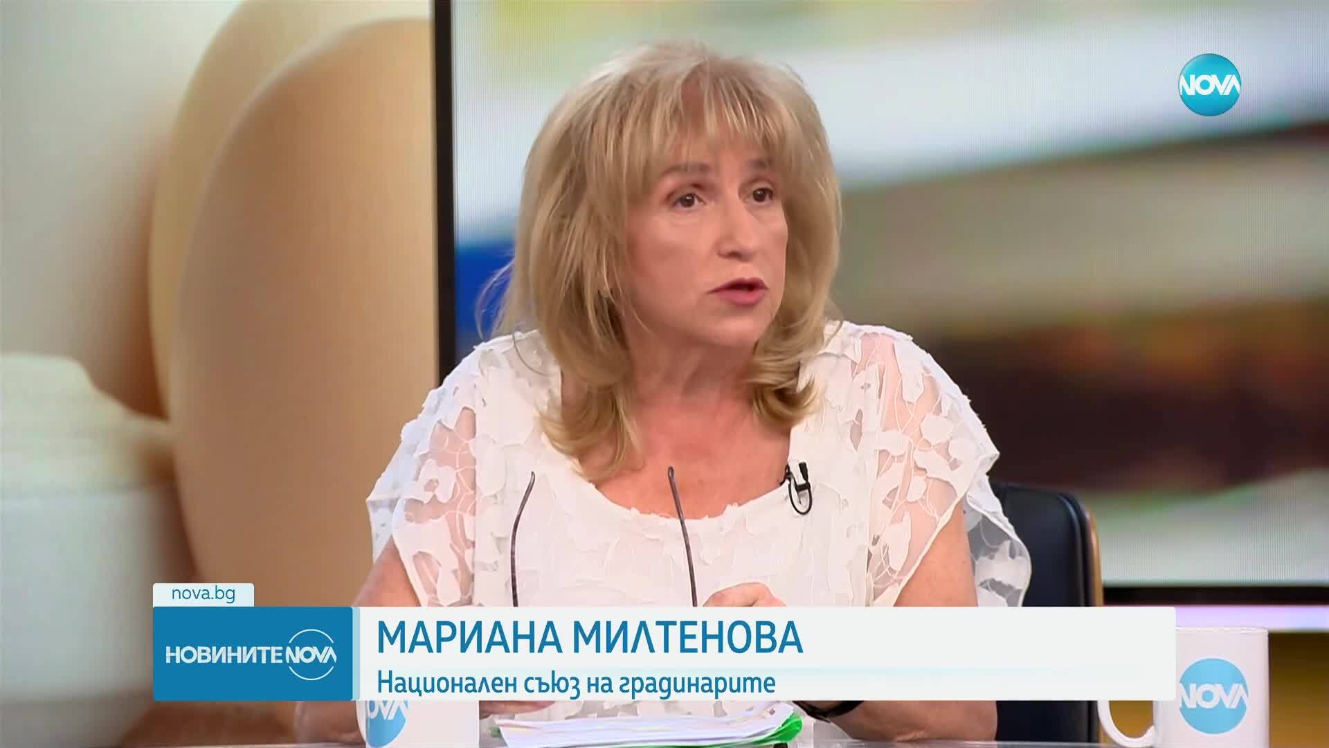 Трябва ли да има нови правила за цените на храните?