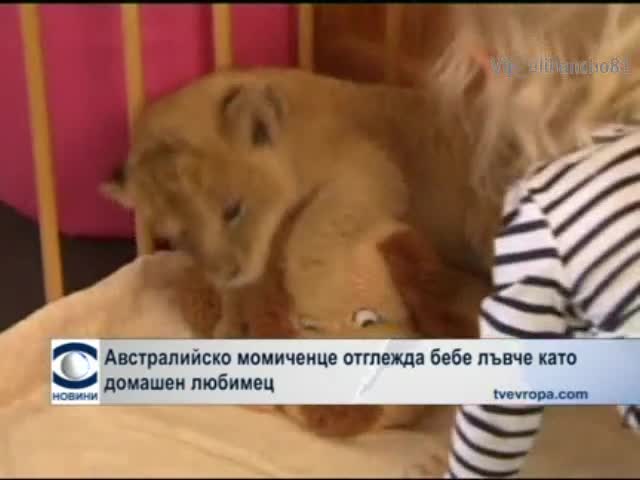 Дете отглежда бебе Лъвче
