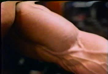 Arnold Schwarzenegger - Biceps