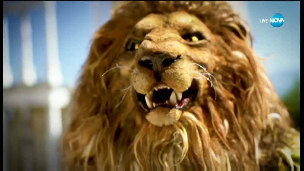 Лъвът изпълнява Pink на Aerosmith | Маскираният певец