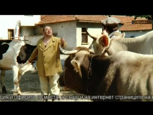 Здрасти, аркадаш! Кравата дава ли мляко?