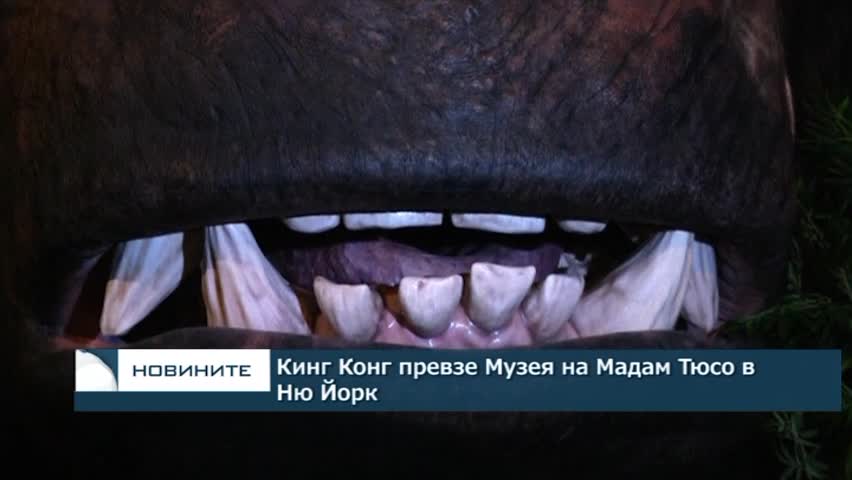 Кинг Конг превзе Таймс скуеър в Ню Йорк