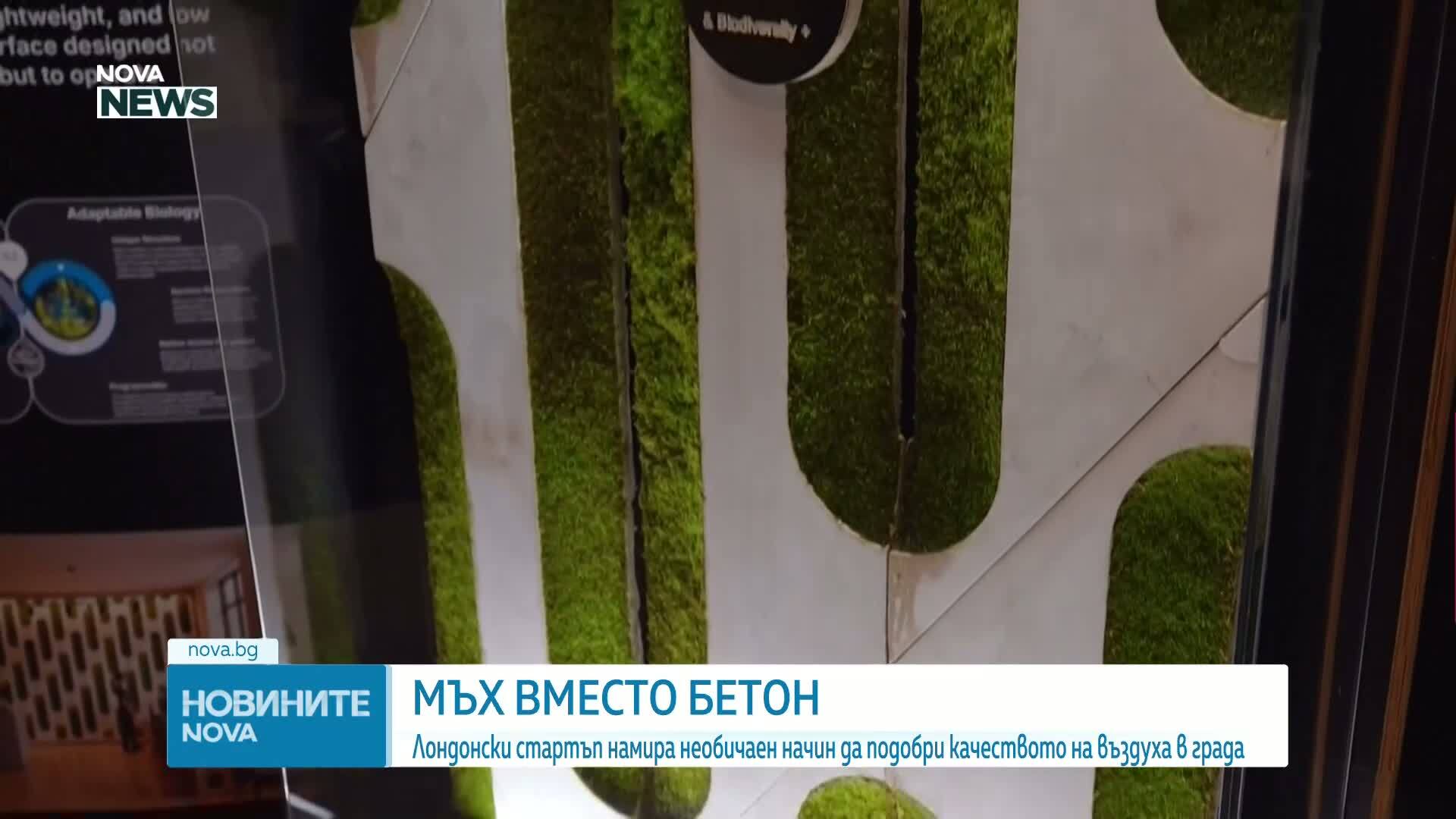 Лондонски стартъп подобрява градската среда с мъх панели