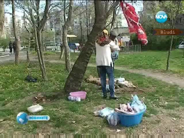 Глобиха цигани с 3000 лв., че колят агне пред детска площадка в Хасково