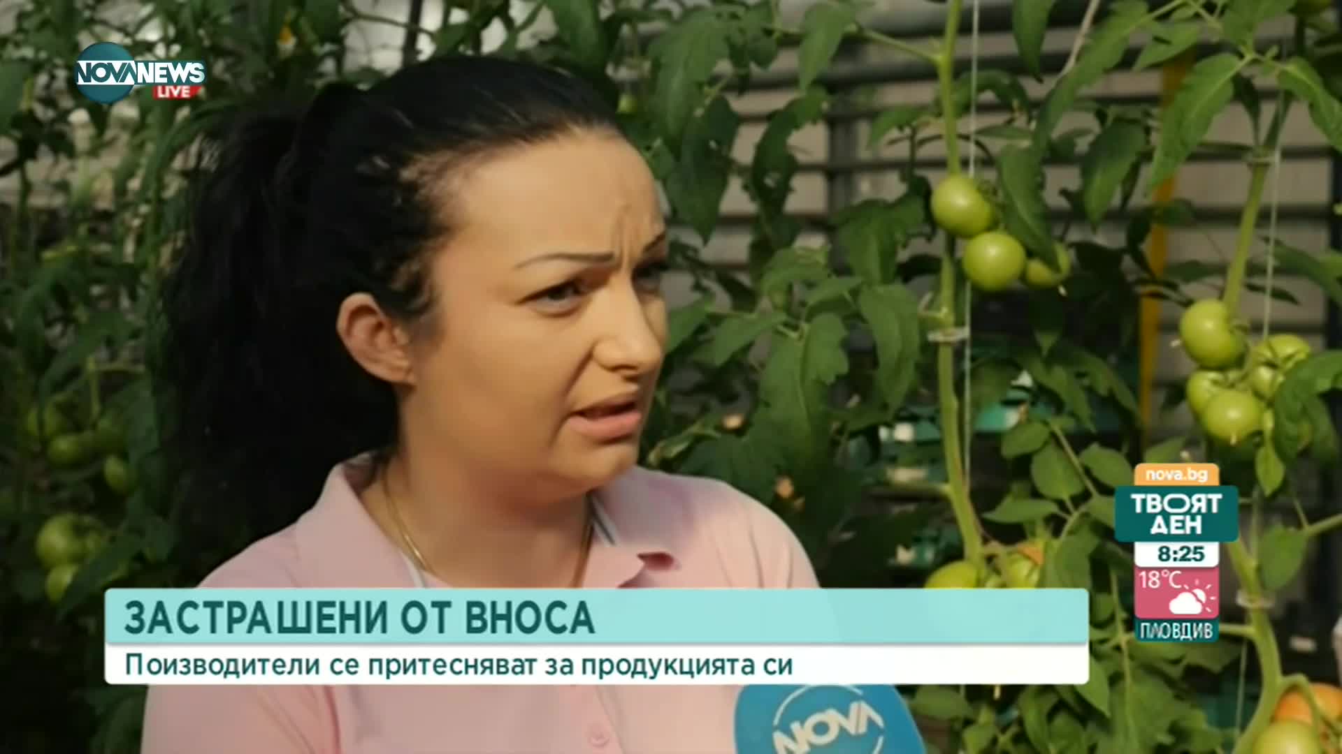 Производители на плодове и зеленчуци се притесняват от чуждестранния внос
