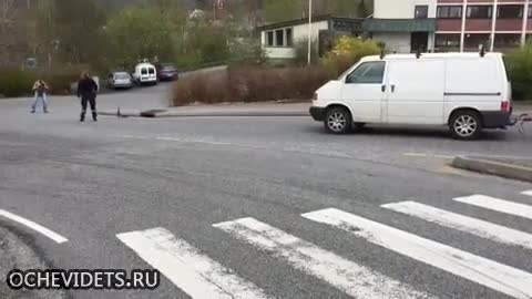 Норвежки полицаи придружават семейство патета да преминат безопасно сложен участък от шосе