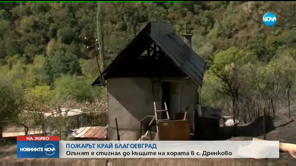 Пожарът в Благоевградско опустоши 400 дка гора, има засегнати къщи