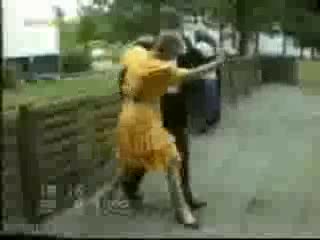 Инциденти По Време На Сватби