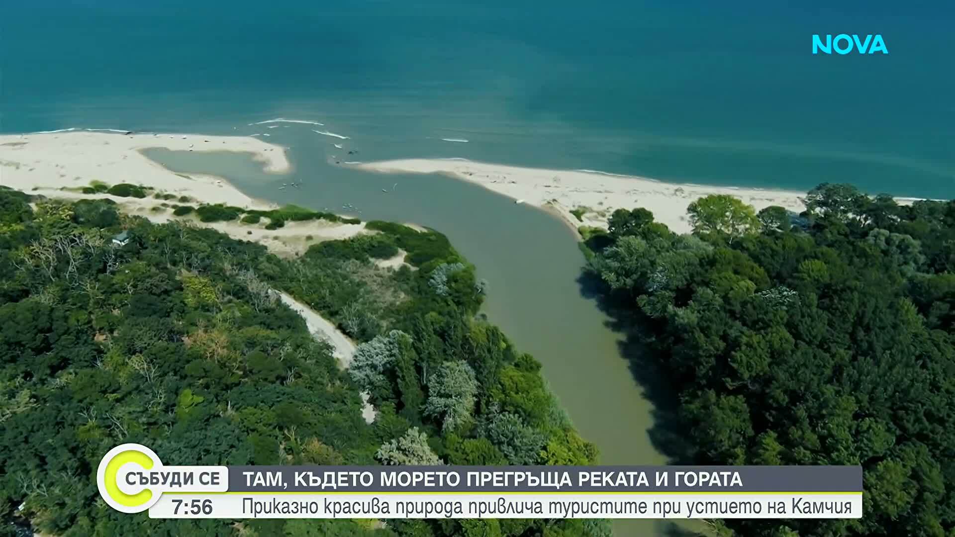 Приказно красива природа привлича туристите при устието на Камчия