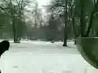 Back Flip Migancy Infinity Crew