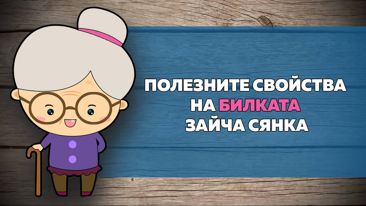 Полезните свойства на билката ЗАЙЧА СЯНКА