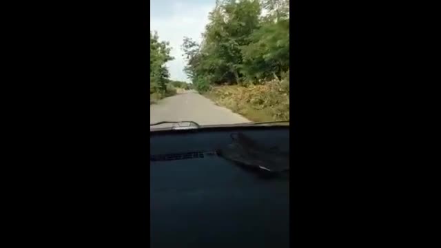 "Моята новина": Ужас по пътя от гр. Лом до с. Долно Линево
