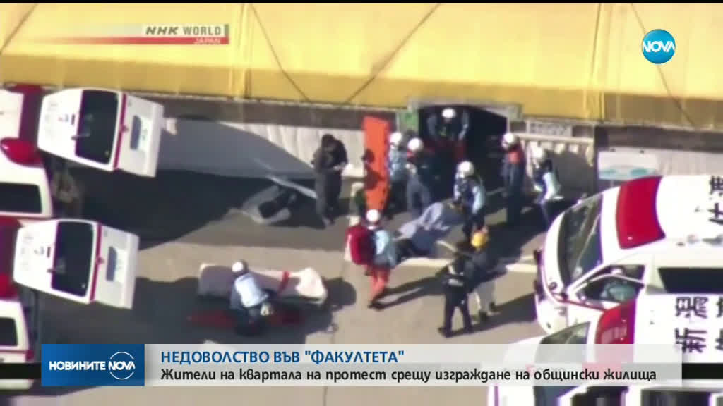 87 ранени при сблъсък между ферибот и кит в Япония