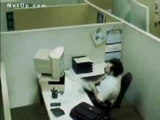 Какво може да причини един компютър на човека *100% Смях*