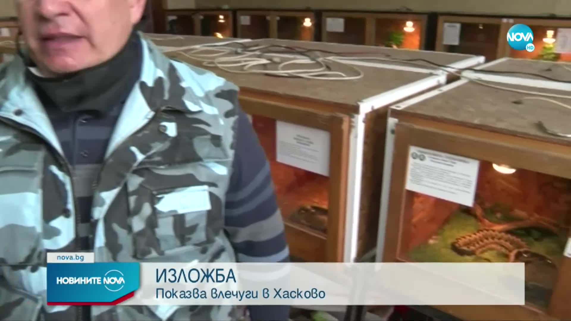 Някои от най-редките и отровни влечуги на изложба в Хасково