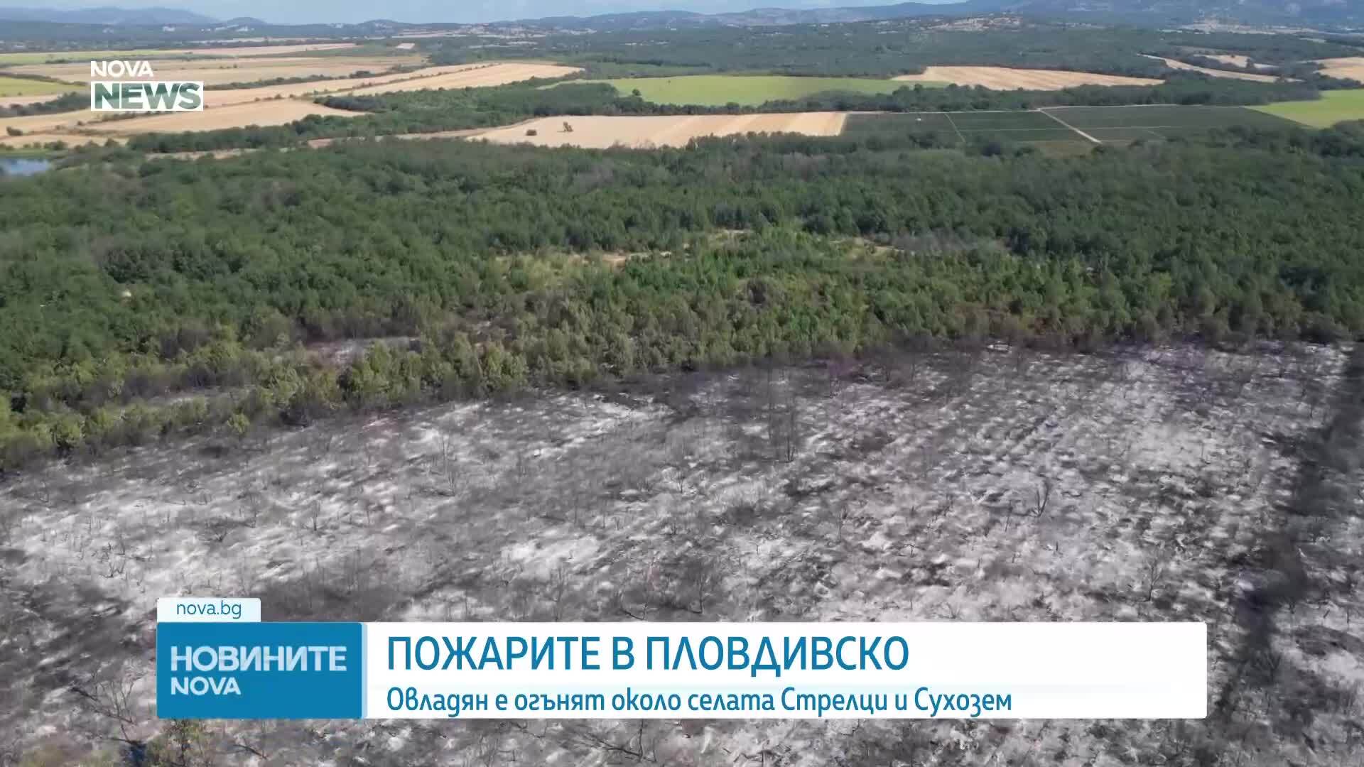 Големият пожар в Пловдивско се разгоря отново