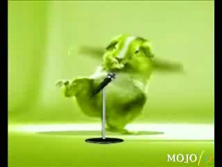 Hamster Dance