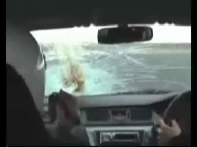Брутално Удряне На Неопределено Нещо С Ево Х !