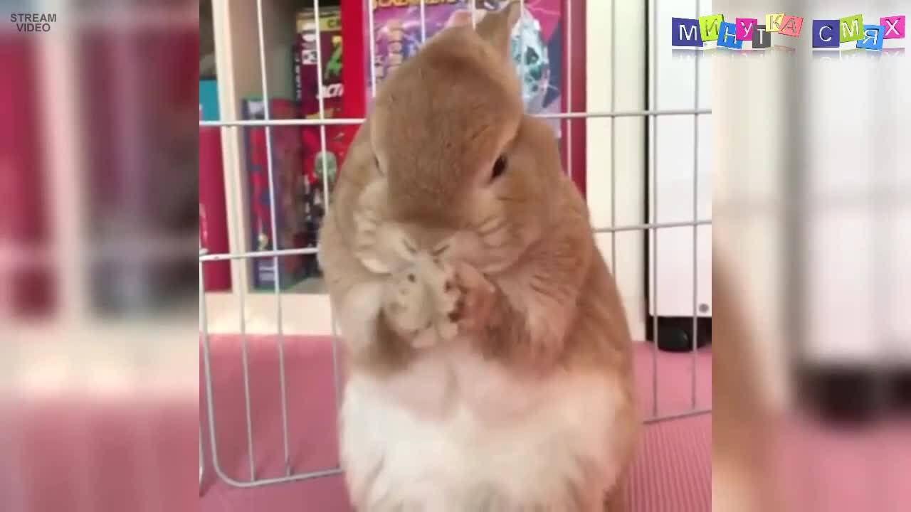 Минутка невиждани изцепки за добро настроение!