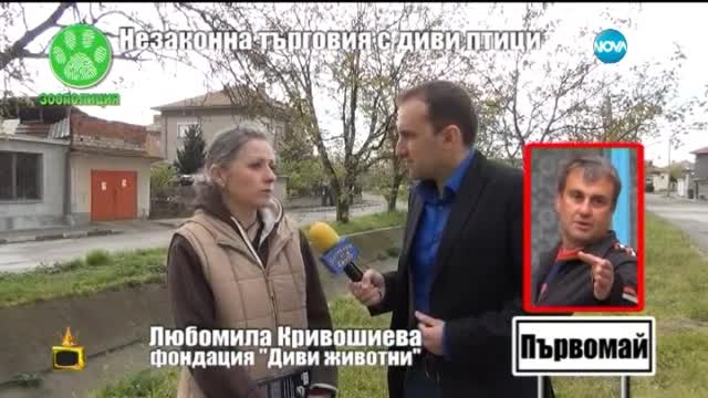Незаконна търговия с диви птици - Господари на ефира (27.05.2015)