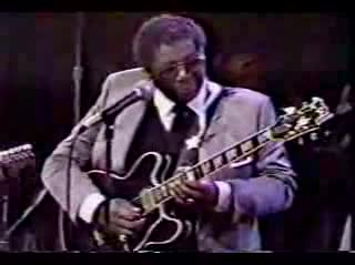 Steve Ray Vaughan - The Sky Is Crying ( Albert and BB King)