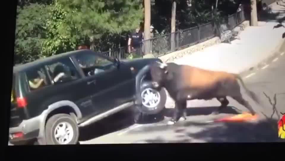 Виждали ли сте нещо подобно..?