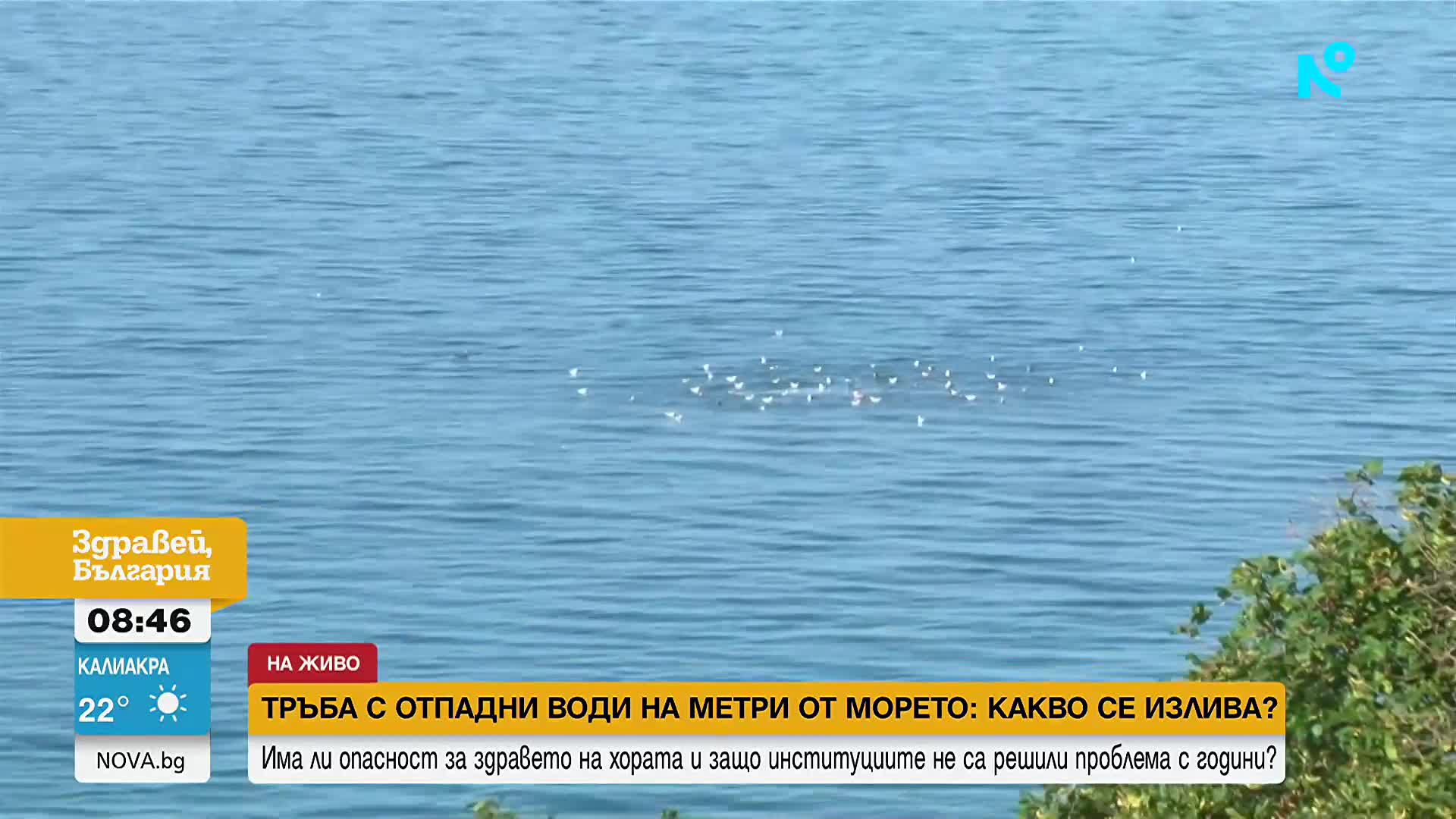 Фекални води на метри от летовници на Свети Влас: Кой носи отговорност?