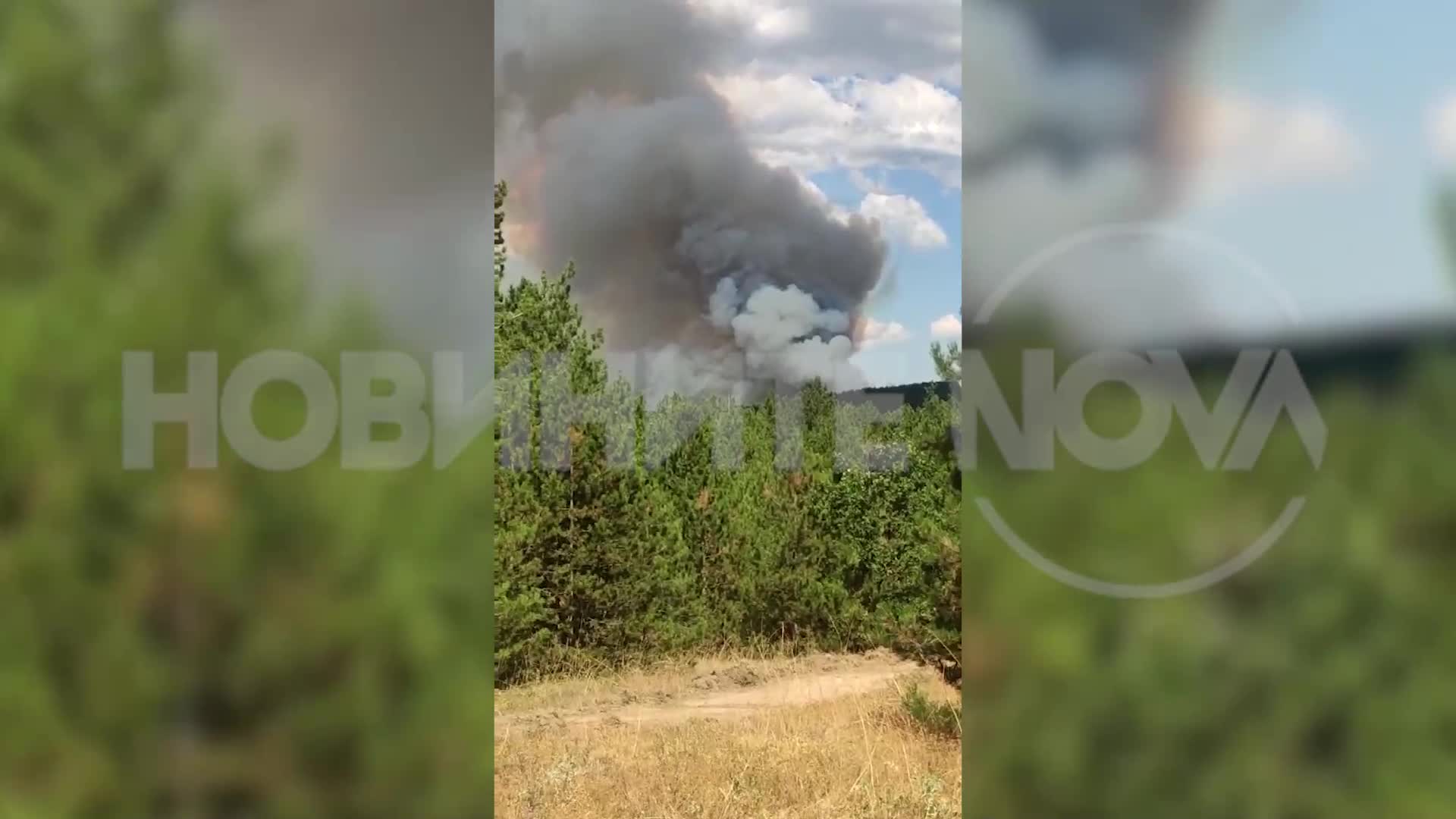 Пожарът в Пазарджишко: Обявиха частично бедствено положение в Елшица