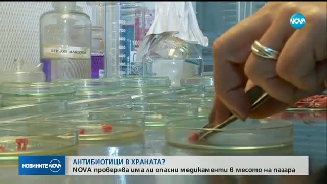 Новините на NOVA (19.11.2017 - обедна емисия)