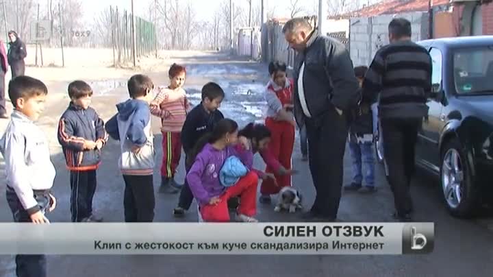 Пореден случай на жестокост към животно
