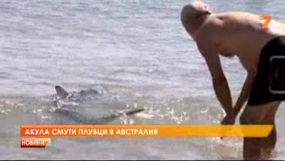 Акула уплаши плувци в Австралия