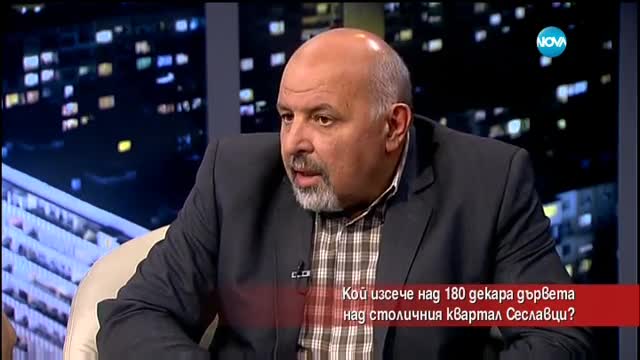 Кой изсече над 180 декара дървета в столичния квартал "Сеславци"?