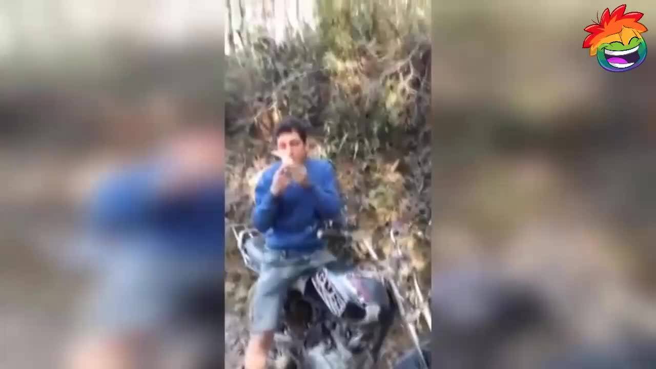 Мого луди изцепки и смях!