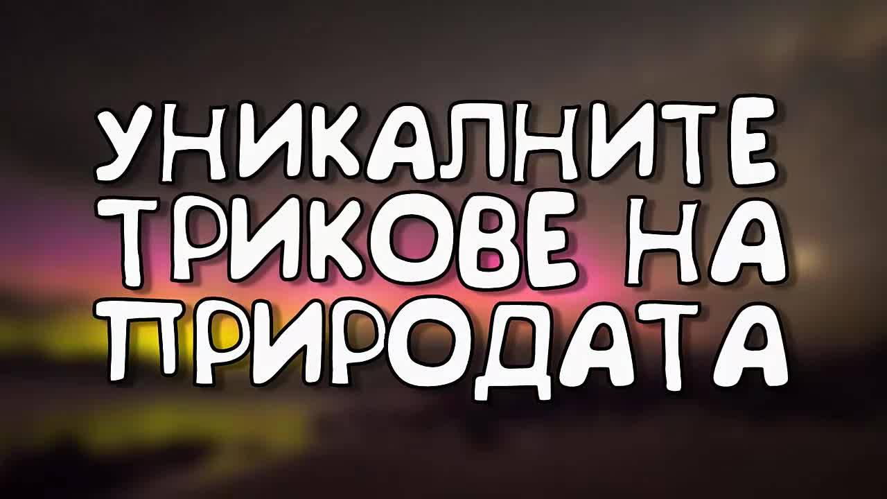 Уникалните трикове на природата