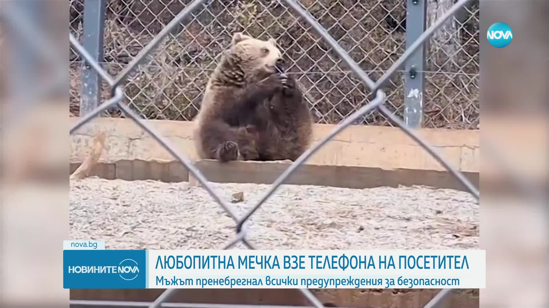 Новините на NOVA (04.12.2023 - централна емисия)