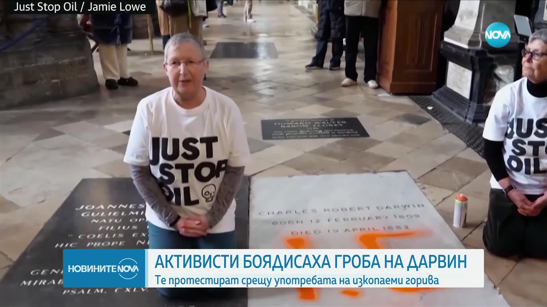 Екоактивисти оскверниха гроба на Чарлз Дарвин